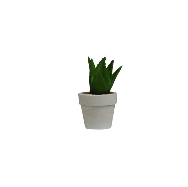 Fioriepianteartificiali_VilladEste_VasoCactus2_A